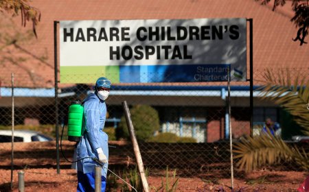 Zimbabwean Health in the Time of Pandemic
