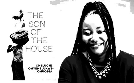 Cheluchi Onyemelukwe-Onuobia’s Gender Quest