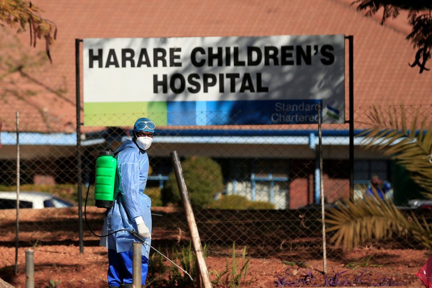Zimbabwean Health in the Time of Pandemic